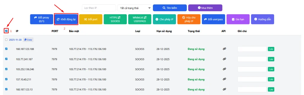 Minh họa Hướng dẫn khởi động lại Proxy IPv4