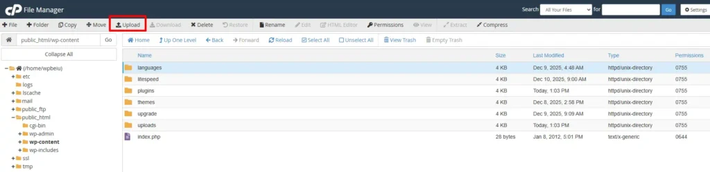 cPanel