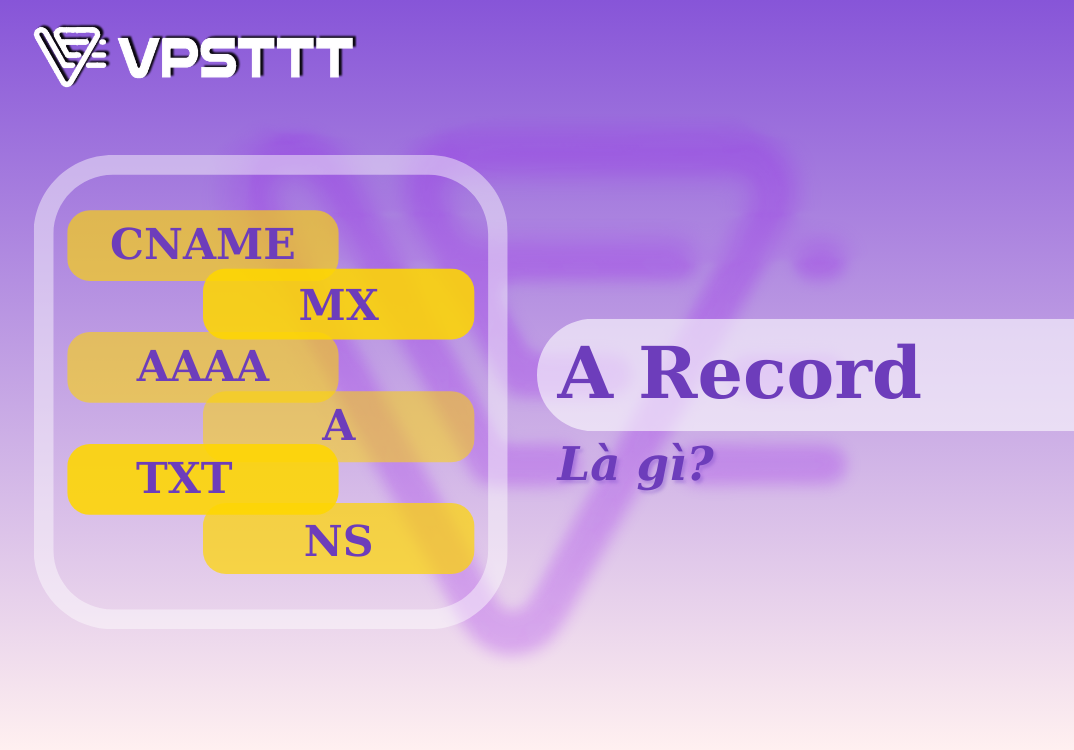 Read more about the article A Record Là Gì? 3 Cách Quản Lý A Record Đơn Giản Dễ Hiểu