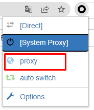 proxy