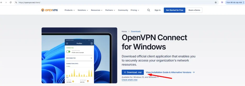 openVPN