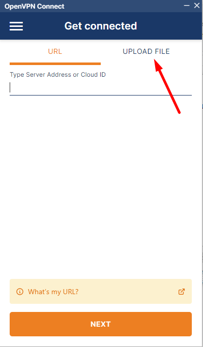 openVPN