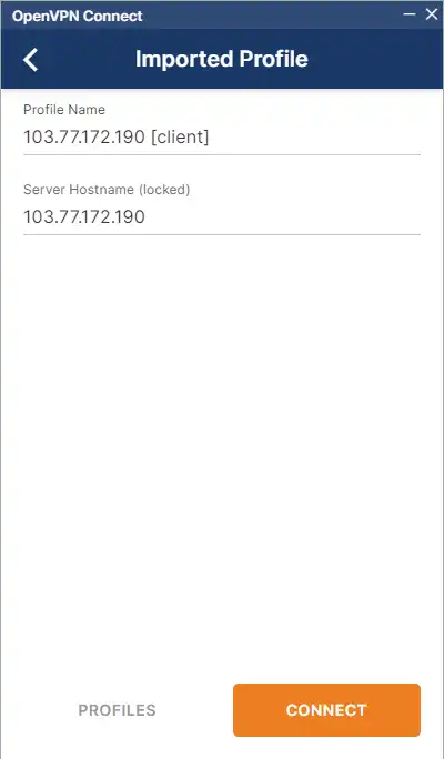 openVPN