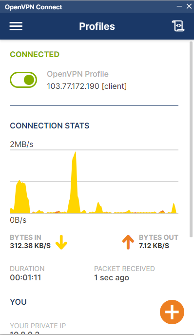 openVPN