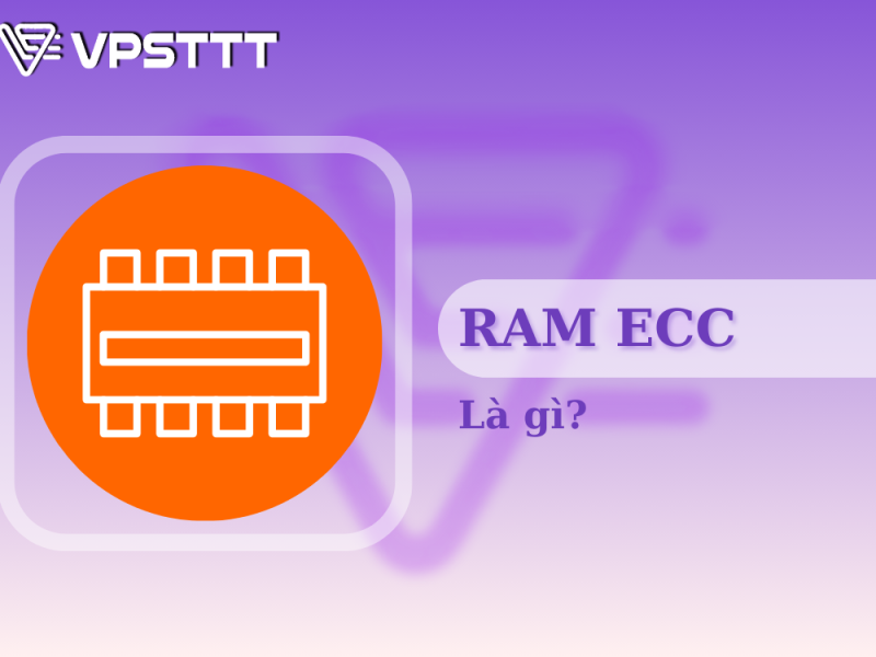 RAM ECC